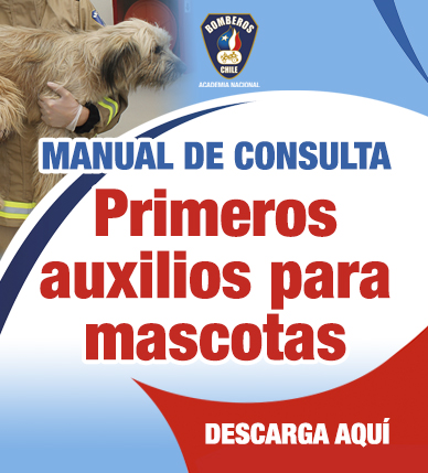 Primeros auxilios para mascotas
